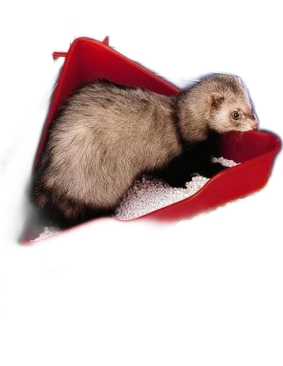 Ferplast L370 lettiera furetti  