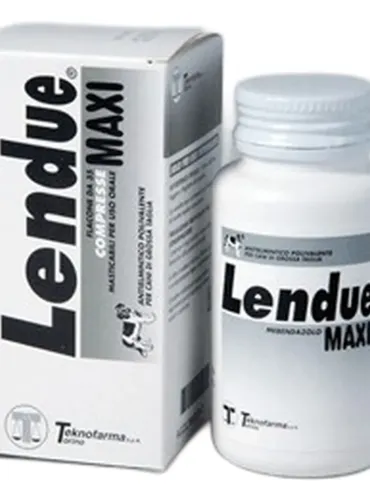 Lendue maxi 35 compresse masticabili 480 mg  