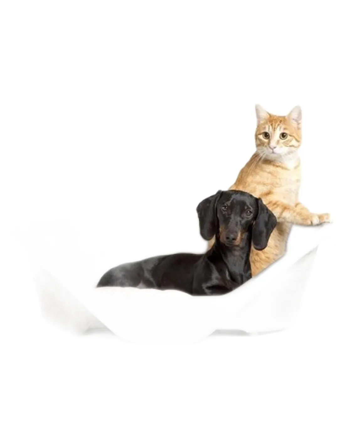 Bama pet lettino nido 50 cm  