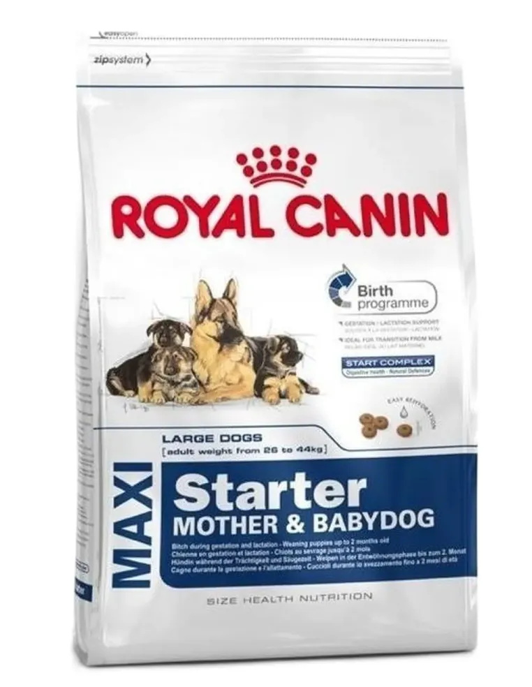 Royal canin maxi starter motèr and babydog 4 kg  