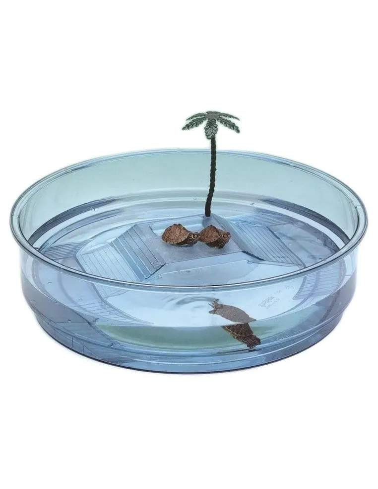 Ferplast oasi azzurra tartarughiera  