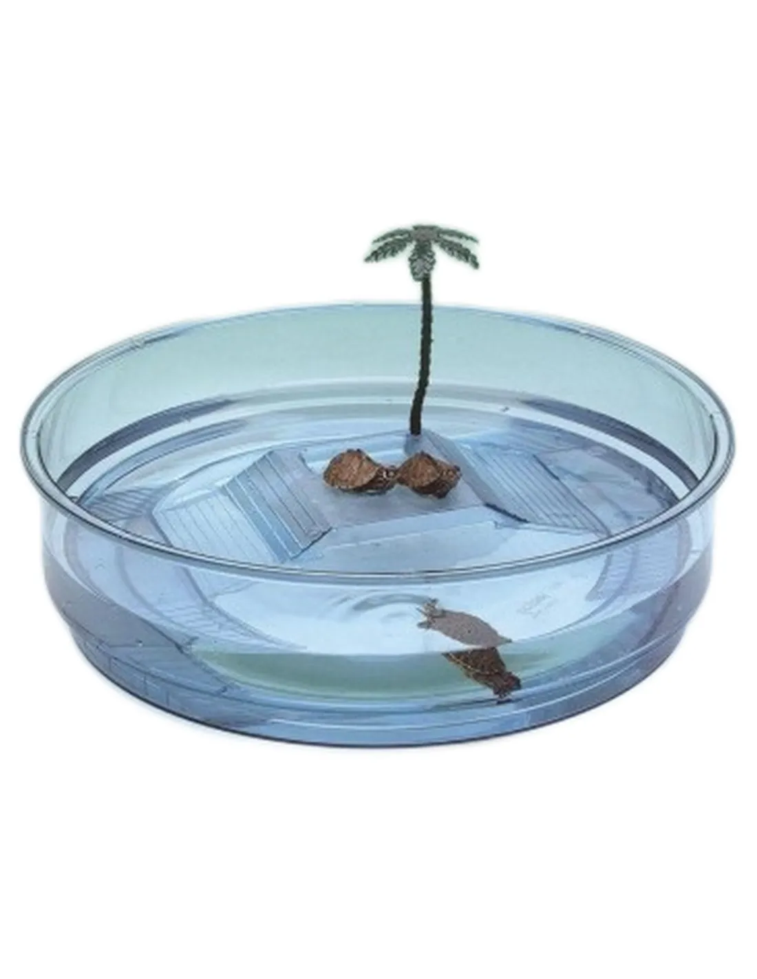 Ferplast oasi azzurra tartarughiera  