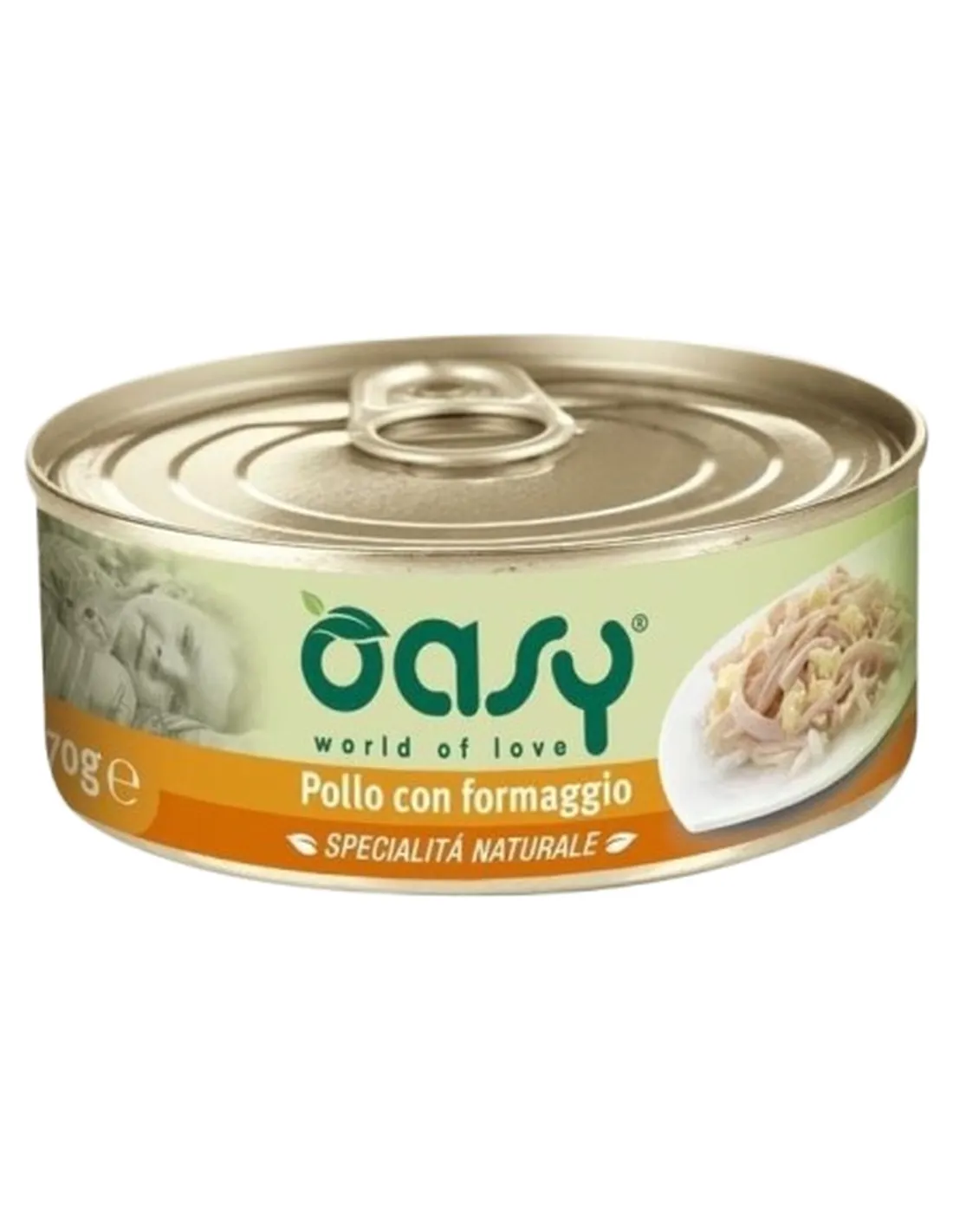 Oasy gatto pollo con formaggio umido 70 gr  