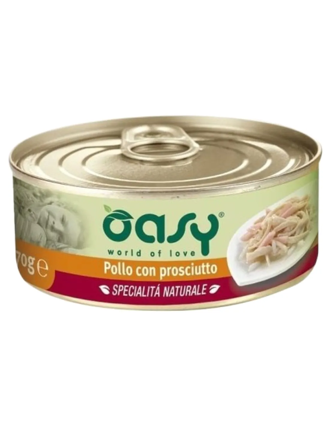 Oasy gatto pollo con prosciutto umido 70 gr  