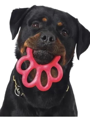 Bama pet orma gioco big per cani 16,5 cm