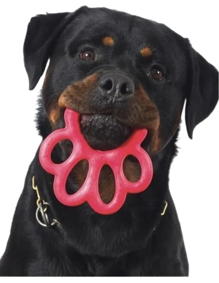 Bama pet orma gioco big per cani 16,5 cm  