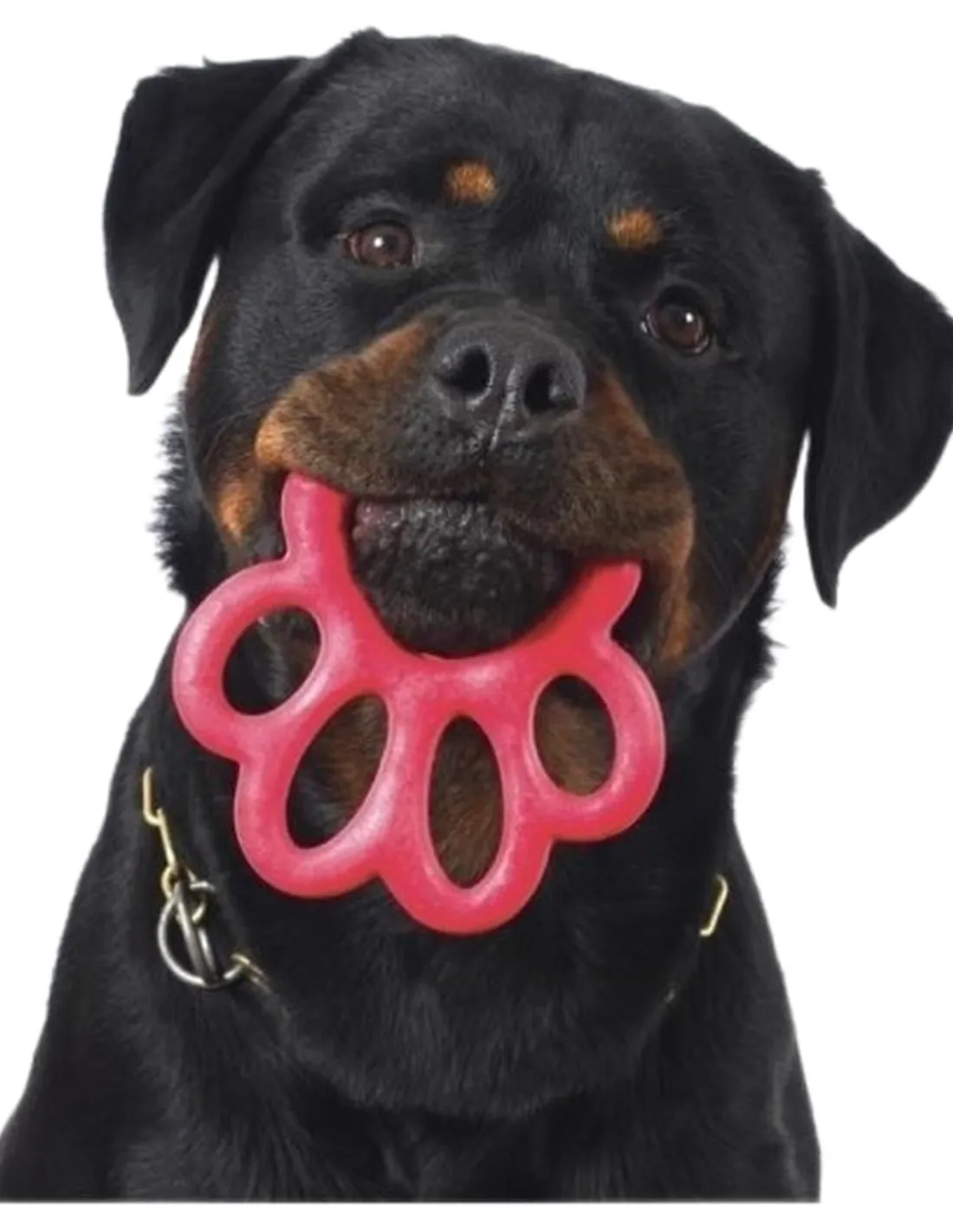 Bama pet orma gioco big per cani 16,5 cm  