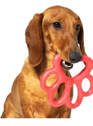 Bama pet orma gioco per cani 14 cm  