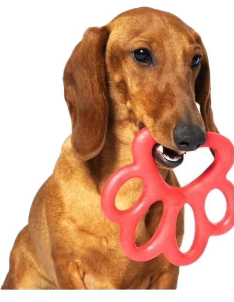 Bama pet orma gioco per cani 14 cm  