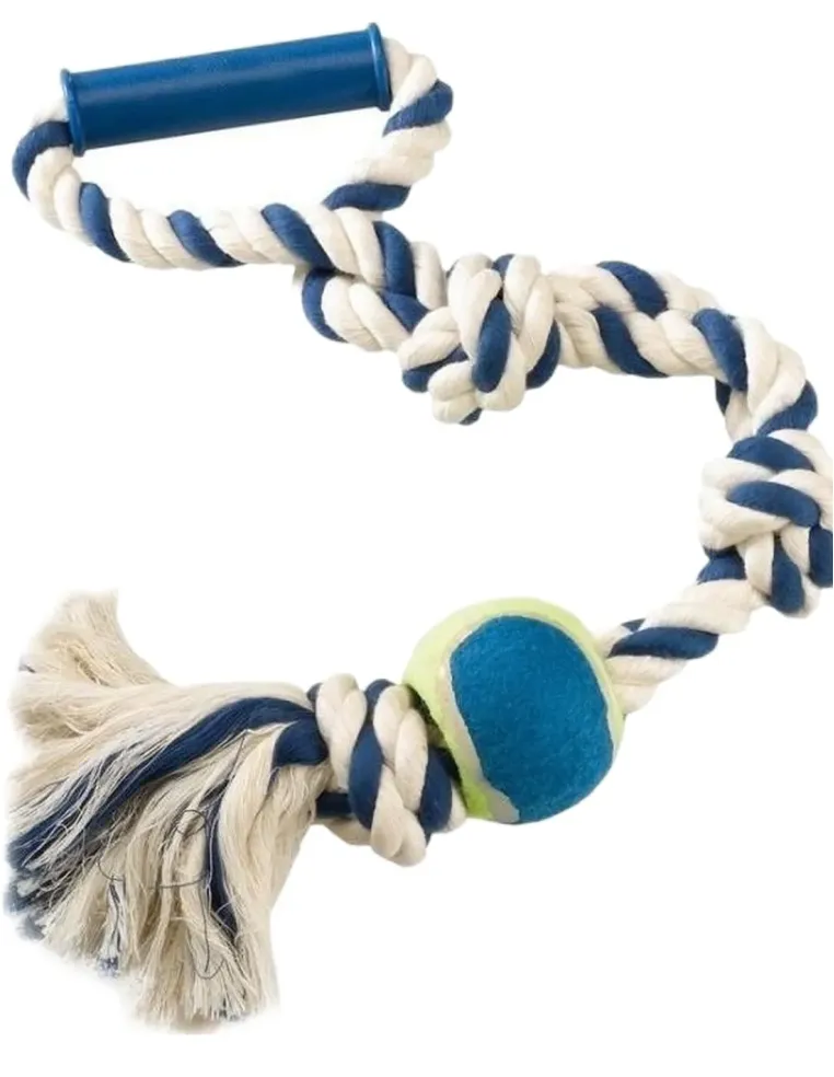 Ferplast pa 6519 cotone dentale con manico  