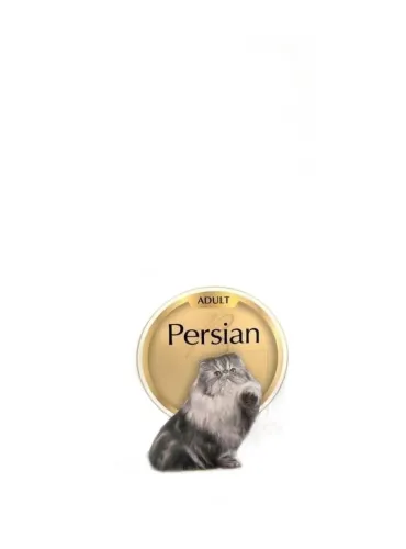 Royal canin gatto persian 10 kg  