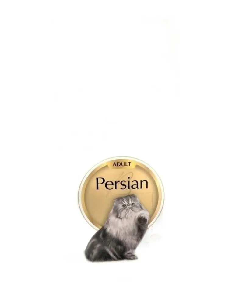 Royal canin gatto persian 10 kg  