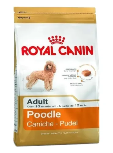 Royal canin poodle adult 500 gr