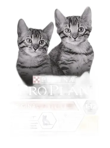 Purina proplan gatto original kitten optistart ricco in pollo 1,5 kg