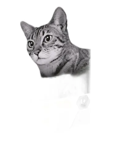 Purina proplan gatto light tacchino e riso 1,5 kg