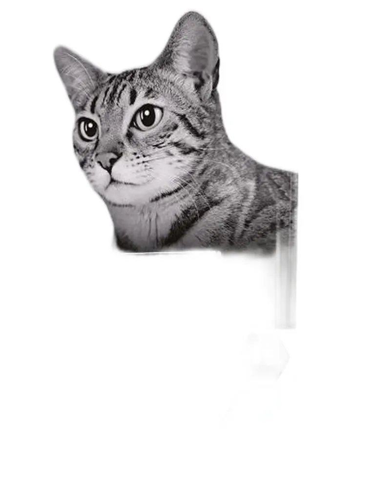 Purina proplan gatto adult sterilised optirenal coniglio 1,5 kg  