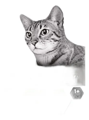 Purina proplan gatto sterilised coniglio 10 kg