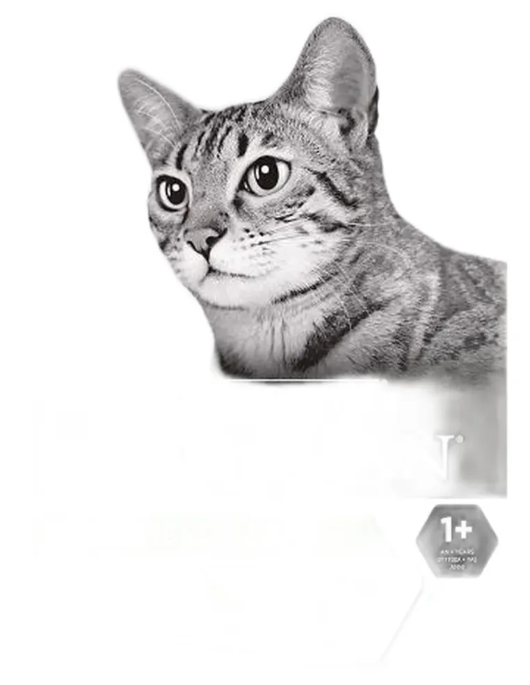 Purina proplan gatto sterilised coniglio 10 kg  