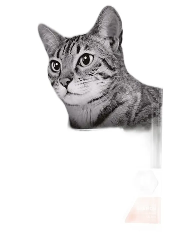 Purina proplan gatto adult sterilised optirenal salmone 1,5 kg  