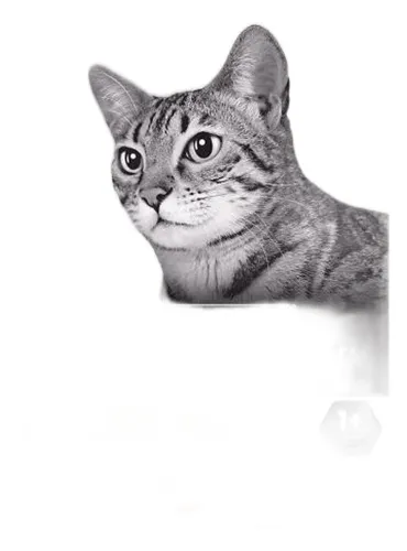 Purina proplan gatto sterilised adult optisenses ricco in salmone 10 kg