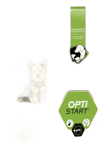 Purina Proplan adult small e mini optibalance 3 kg