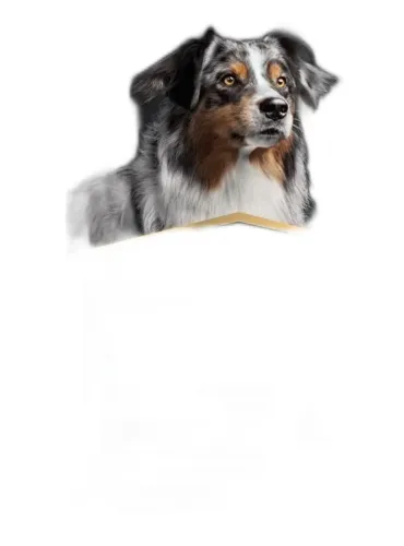 Proplan supplements relax+ cane 500 ml
