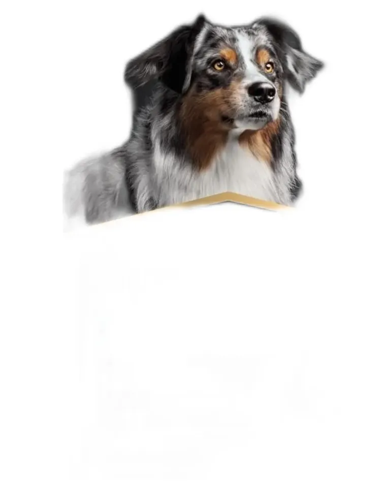 Proplan supplements relax+ cane 500 ml  