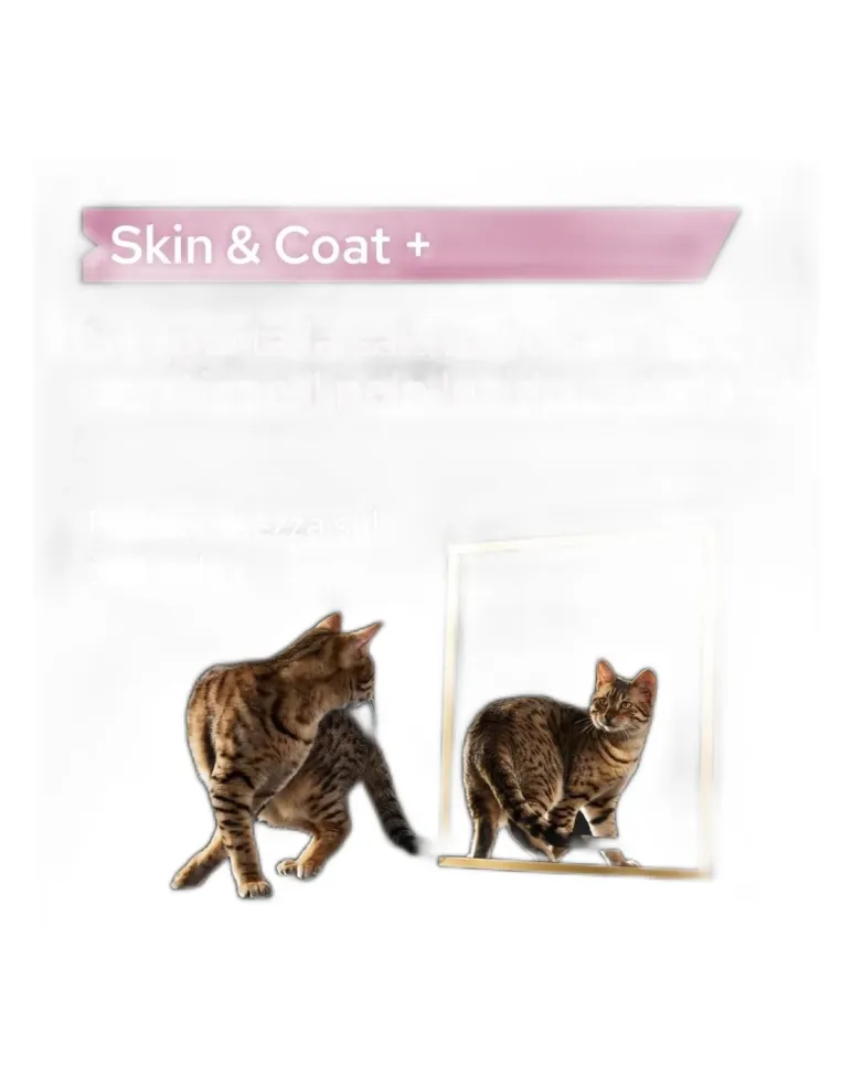 Proplan supplements skin e coat gatto 250 ml