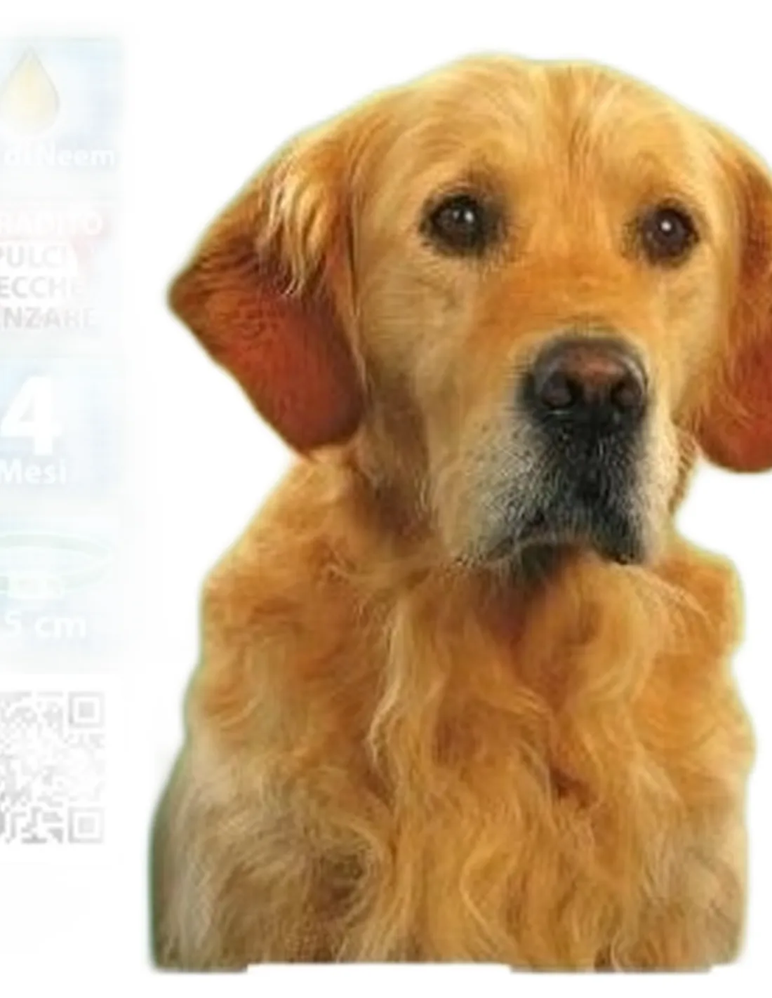 Beaphar protezione naturale collare cane 65 cm   Beaphar protezione naturale collare cane 65 cm