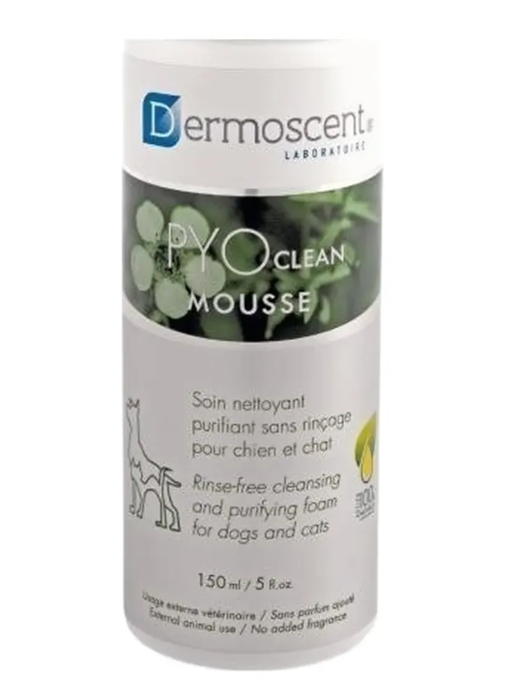 Dermoscent  pyoclean mousse 150 ml  