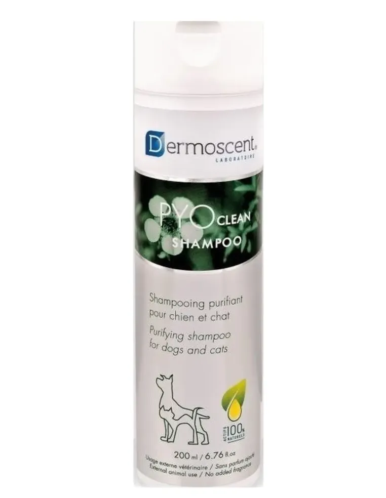 Dermoscent  pyoclean shampoo 200 ml  