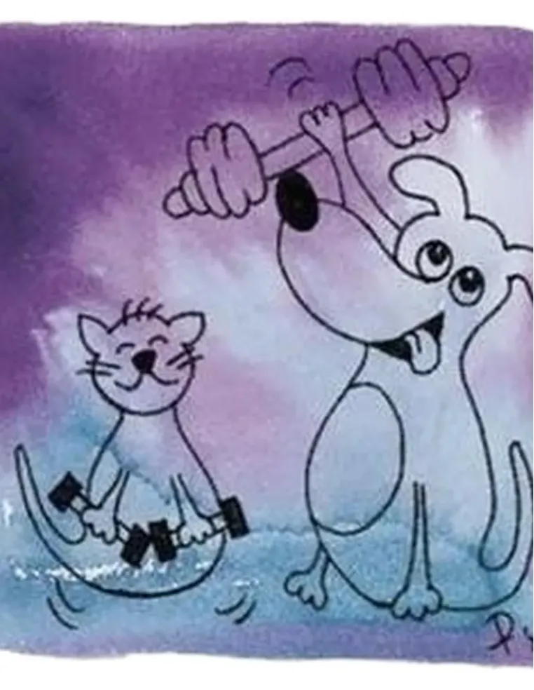 Rosa canina radipet 40 capsule 700 mg  