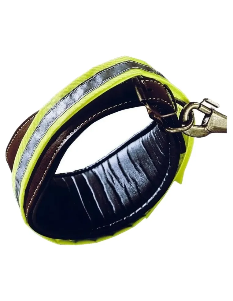 Ferplast reflex c25/61 sopracollare