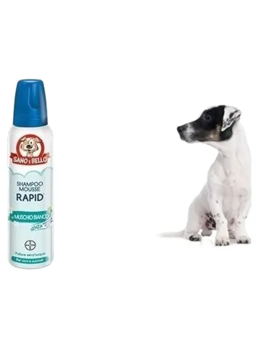 Bayer Shampoo Mousse Rapid Muschio Bianco 300 ml sano e bello  