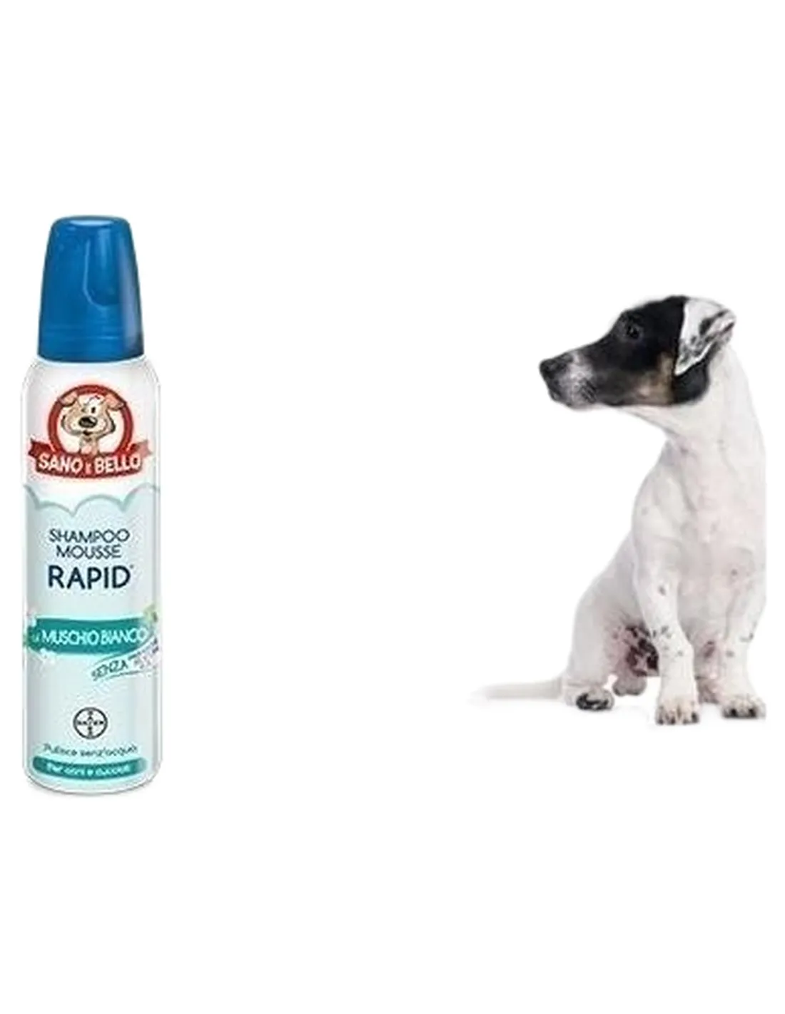 Bayer Shampoo Mousse Rapid Muschio Bianco 300 ml sano e bello  