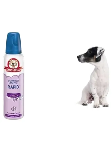 Bayer shampoo rapid al talco 300 ml