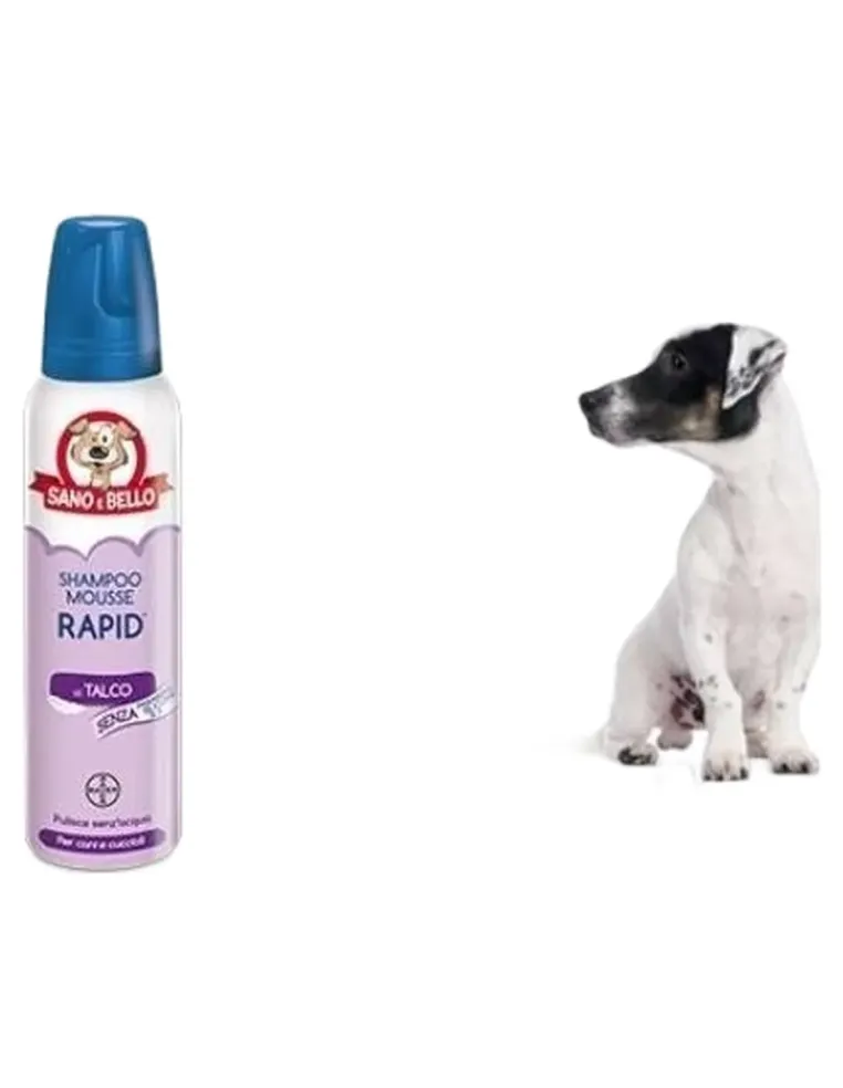 Bayer shampoo rapid al talco 300 ml  