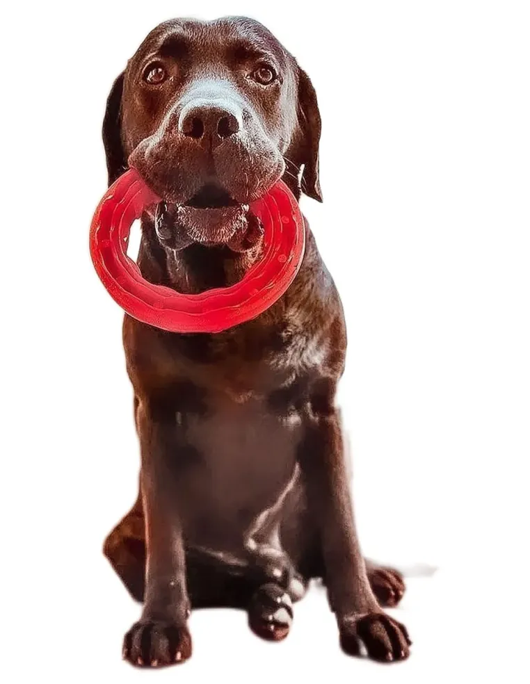 Ferplast smile large anello nero  