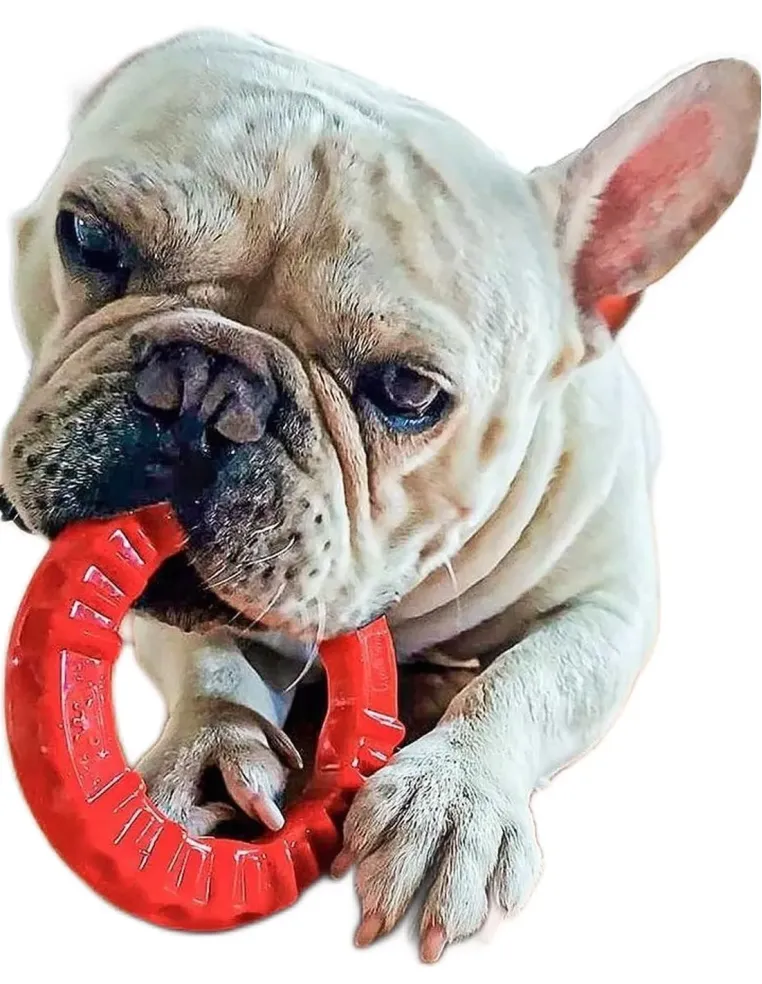 Ferplast smile small anello rosso  