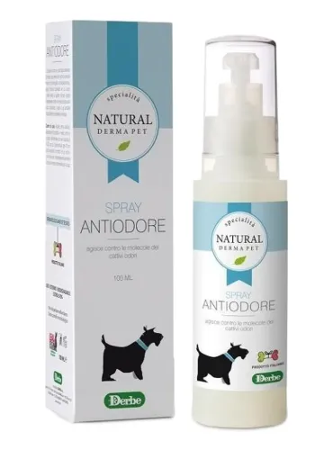 Derbe spray antiodore 100 ml  