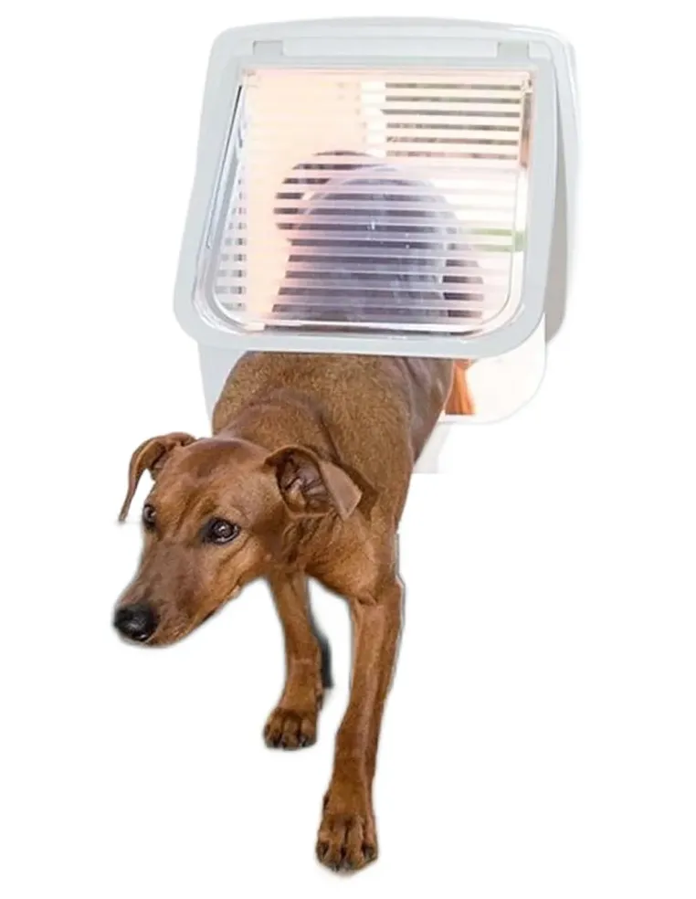 Ferplast swing 11 tunnel bianca portina  