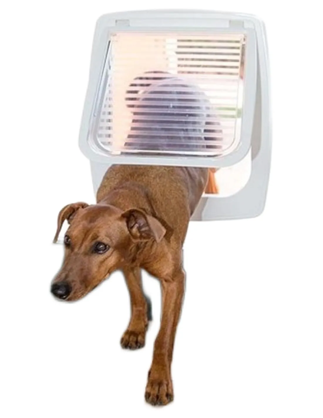 Ferplast swing 11 tunnel bianca portina  