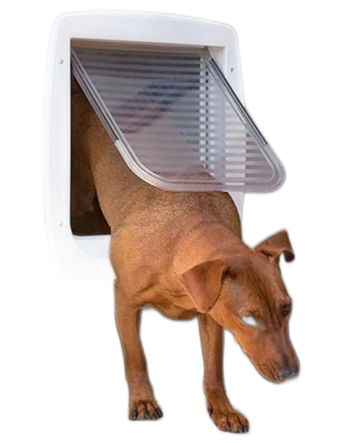 Ferplast swing 11 tunnel bianca portina  