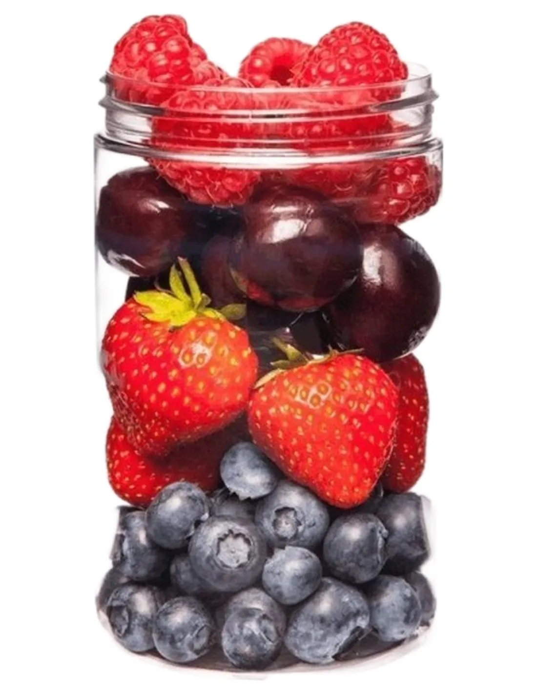 Terra canis berriefoods 50 gr  