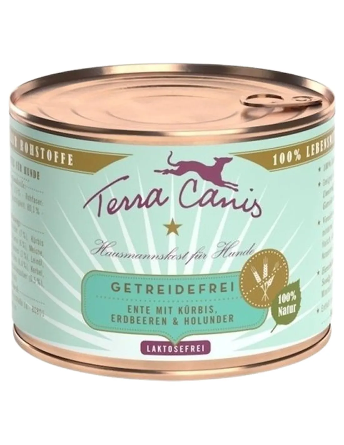 Terra canis grain free anatra con zucca, fragola e sambuco 200 gr  