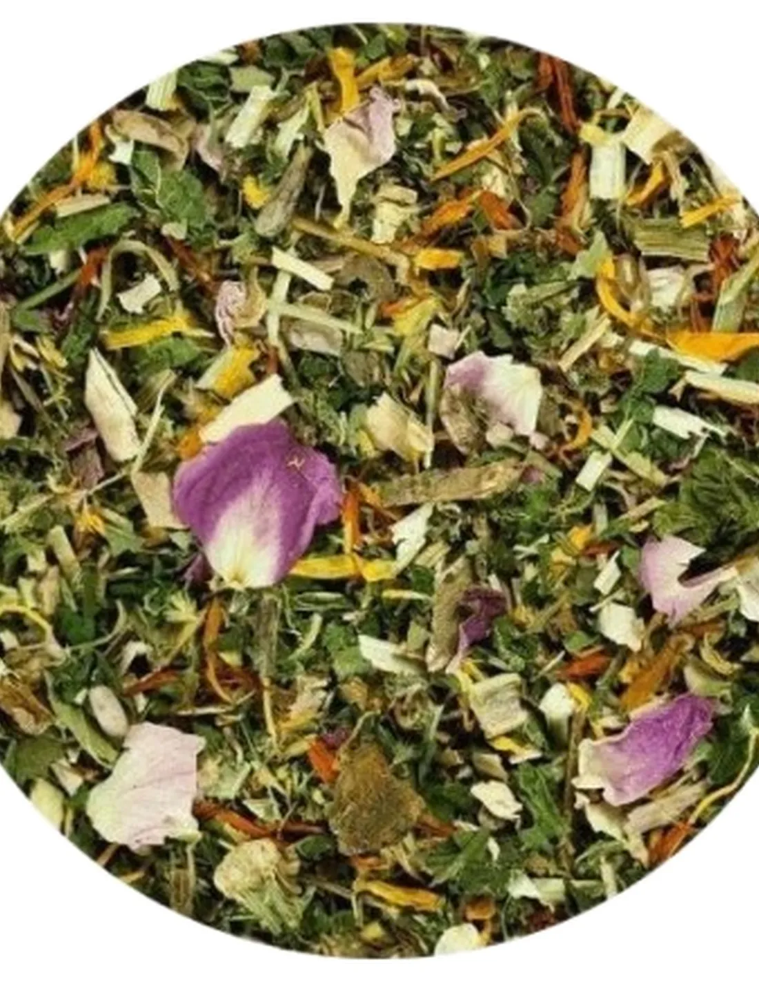 Terra canis herbal articolazioni 100 gr  
