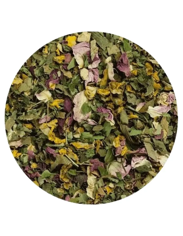 Terra canis herbal cuore 100 gr  