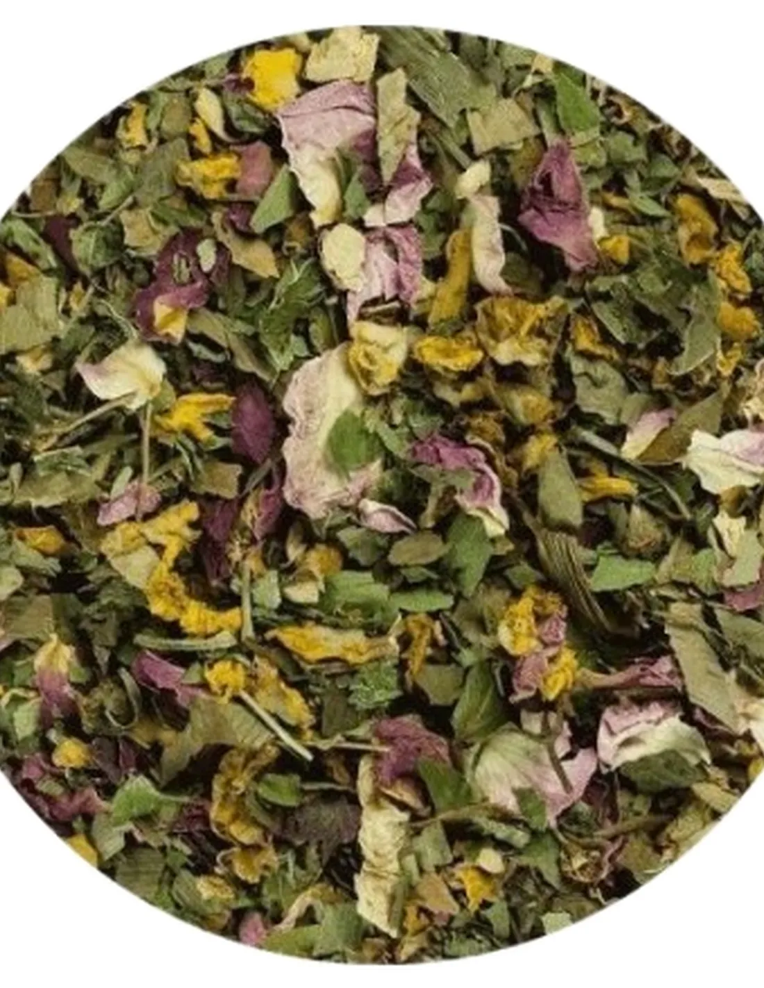 Terra canis herbal cuore 100 gr  