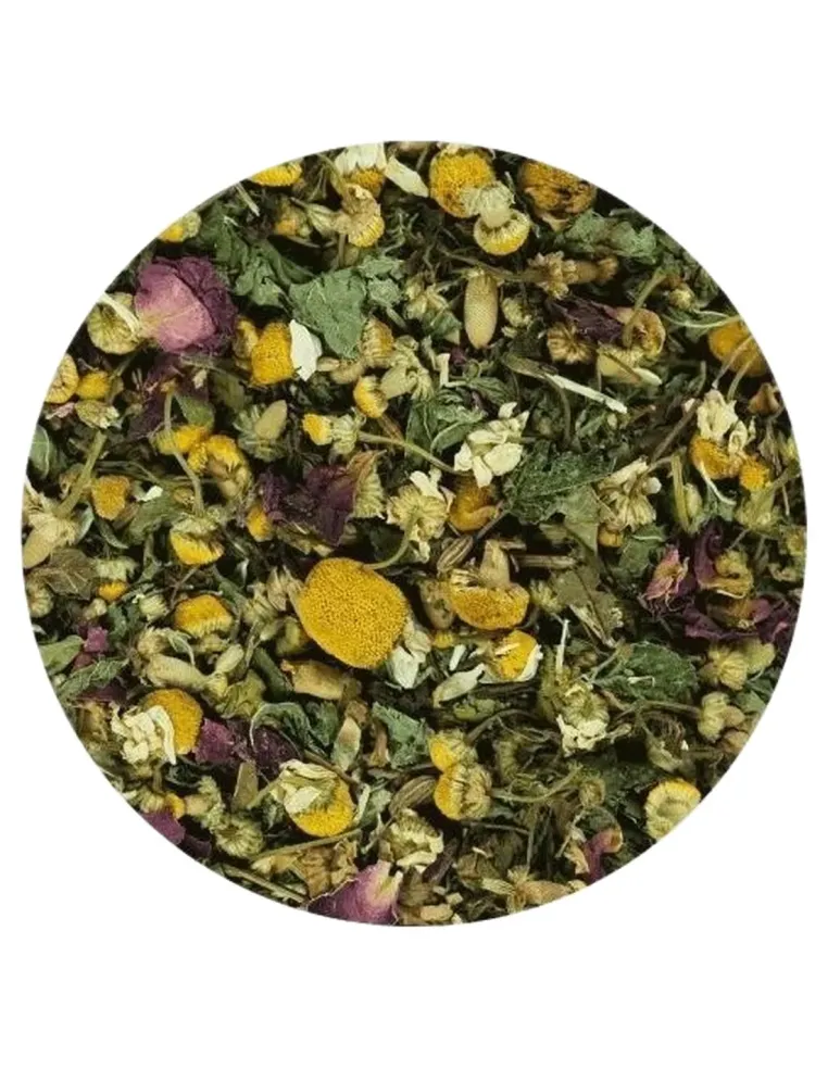 Terra canis herbal intestino 100 gr  