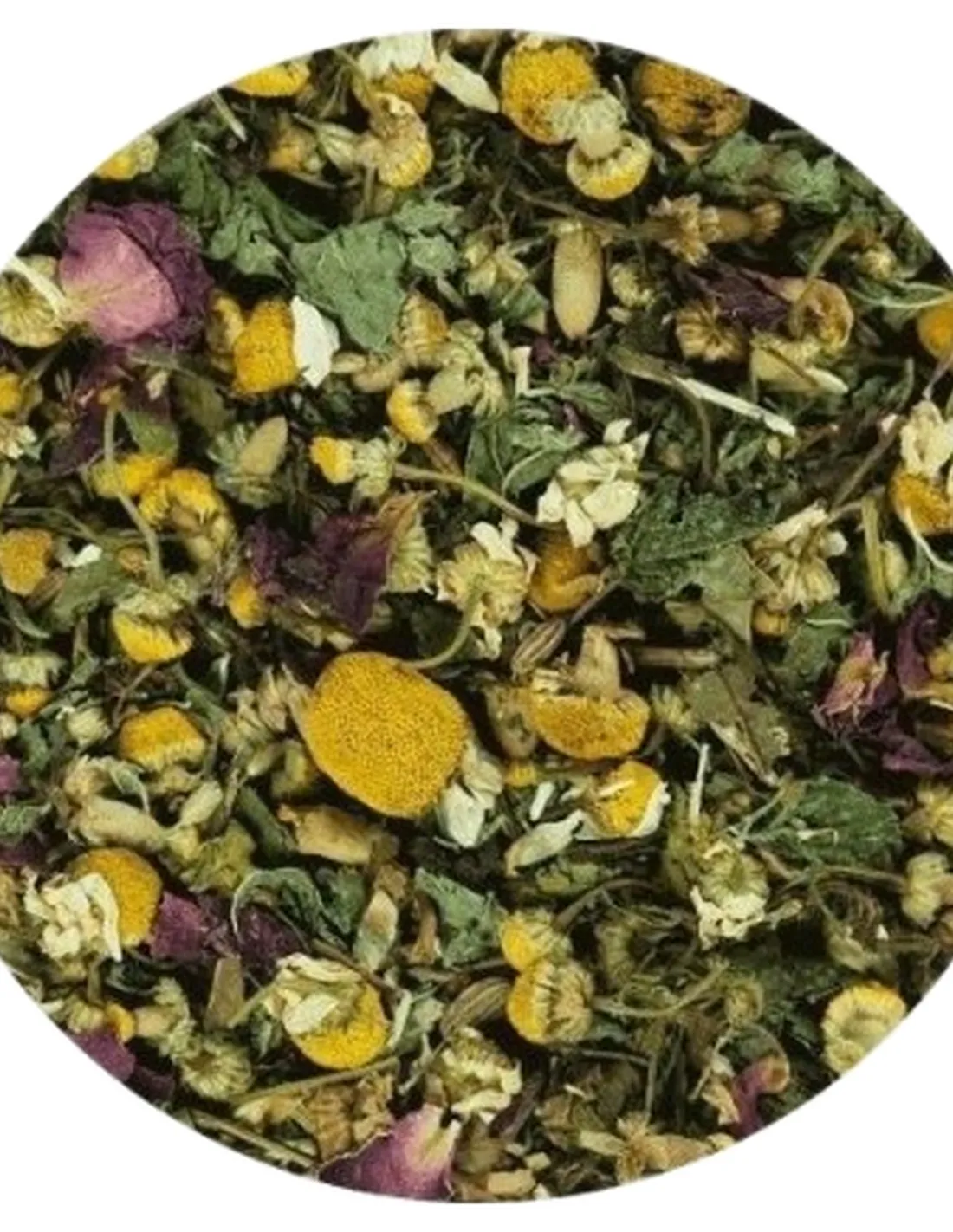 Terra canis herbal intestino 100 gr  